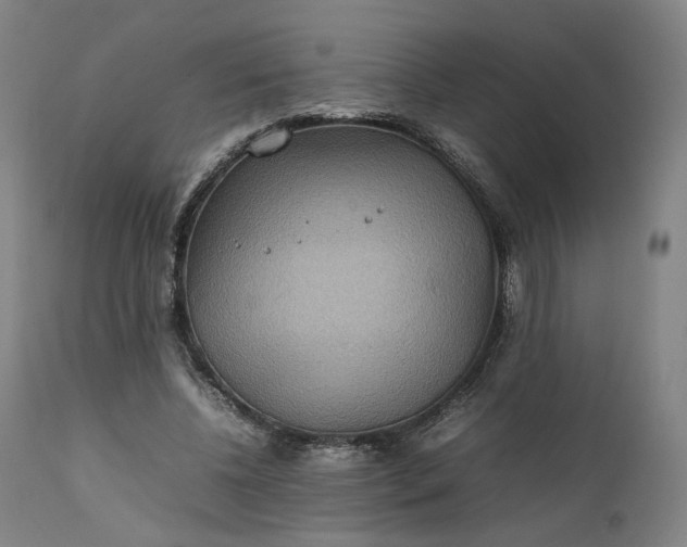 X0000111210540200907151440