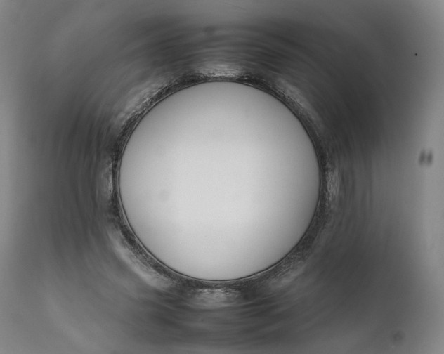 X0000111210541200907151440