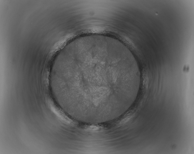 X0000111210542200907151440