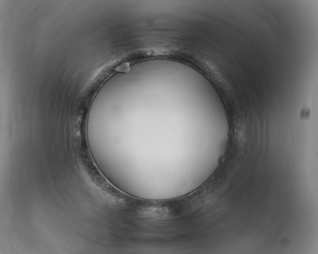 X0000111210543200907151440