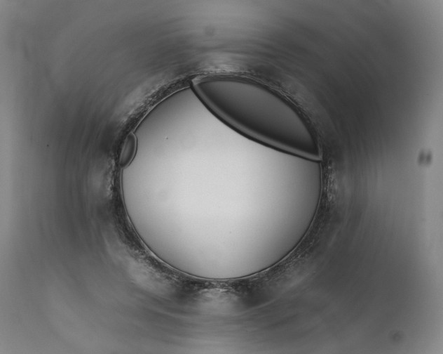 X0000111210544200907151440