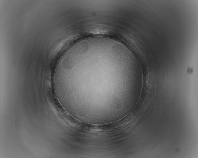 X0000111210547200907151440