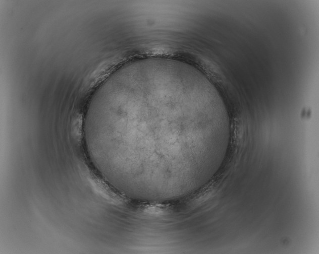 X0000111210550200907151440