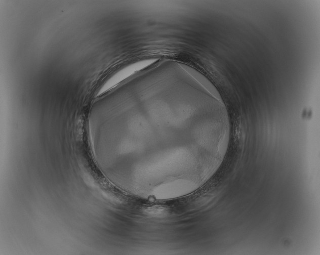 X0000111210551200907151440