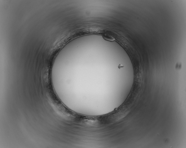 X0000111210552200907151440