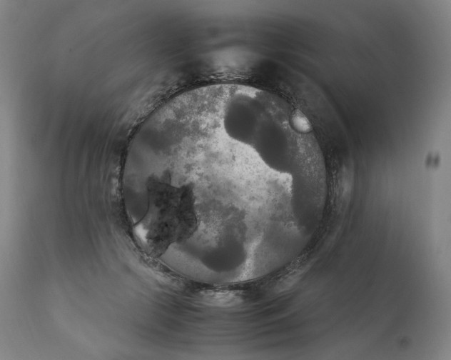 X0000111210553200907151440