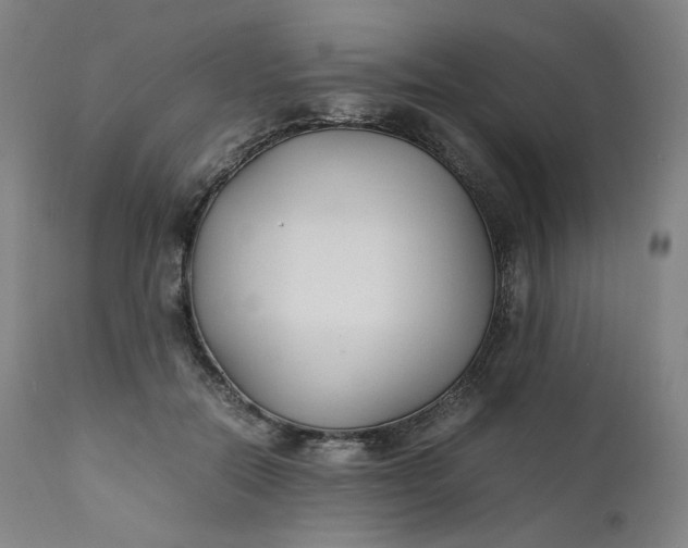 X0000111210554200907151440