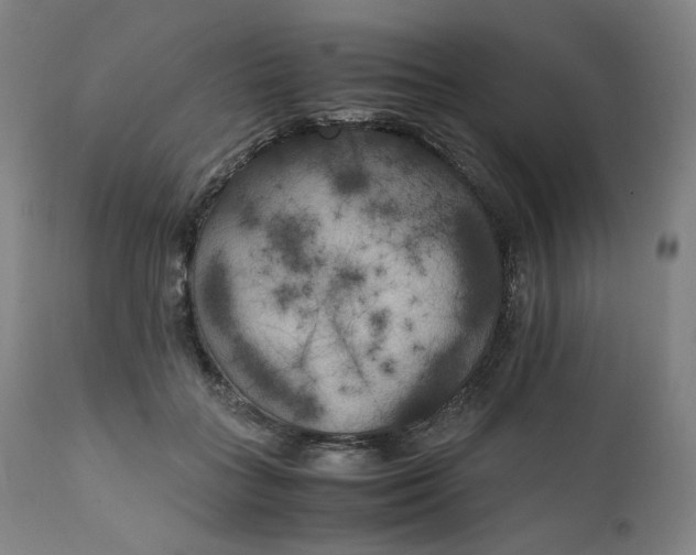 X0000111210555200907151440