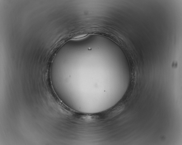 X0000111210558200907151440