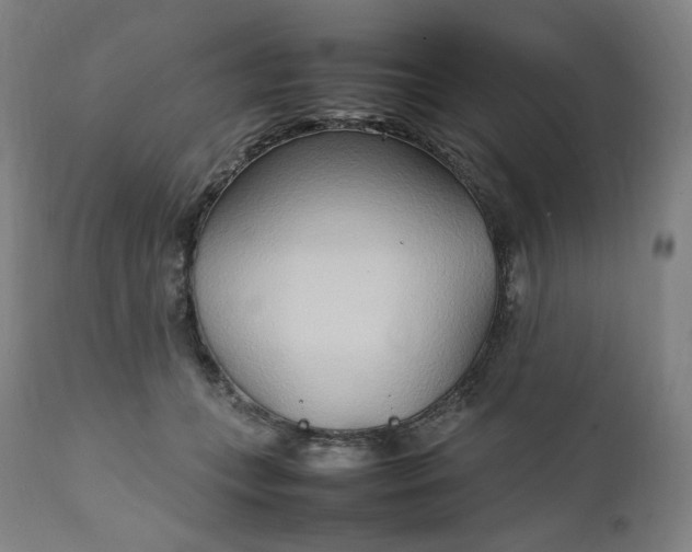 X0000111210559200907151440