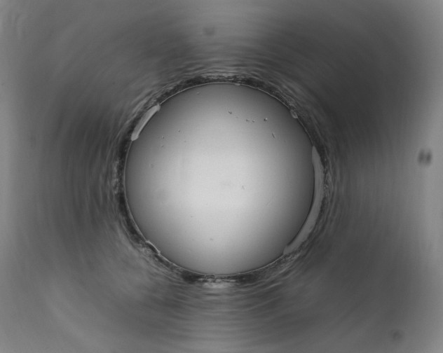 X0000111210560200907151440