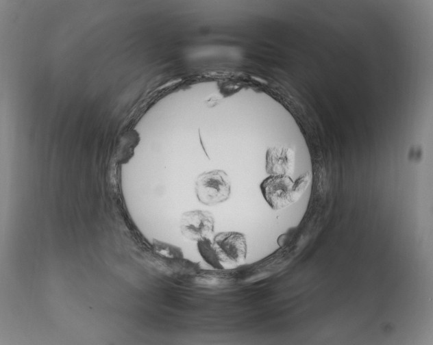 X0000111210561200907151440