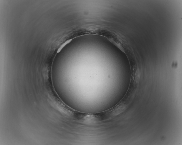 X0000111210562200907151440