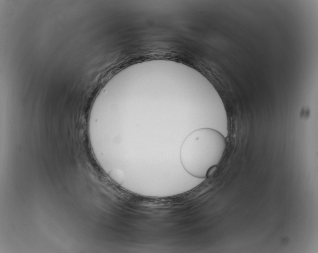 X0000111210563200907151440