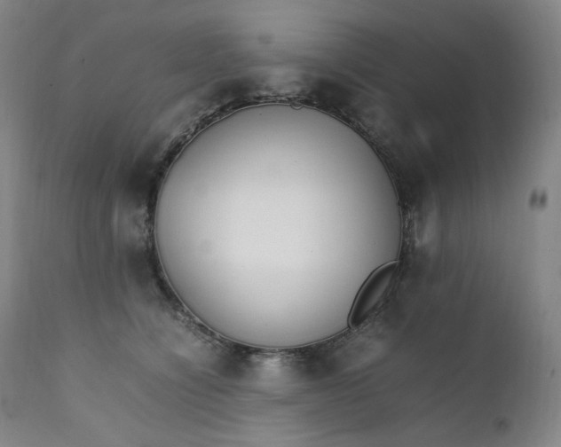 X0000111210564200907151440