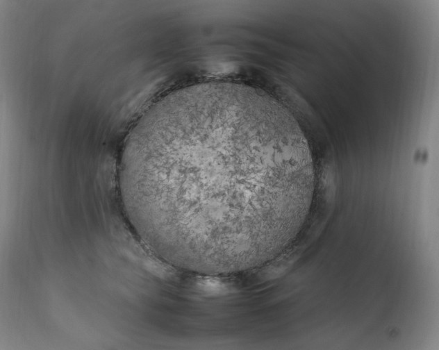 X0000111210565200907151440