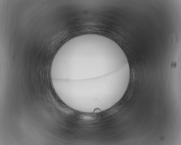 X0000111210567200907151440