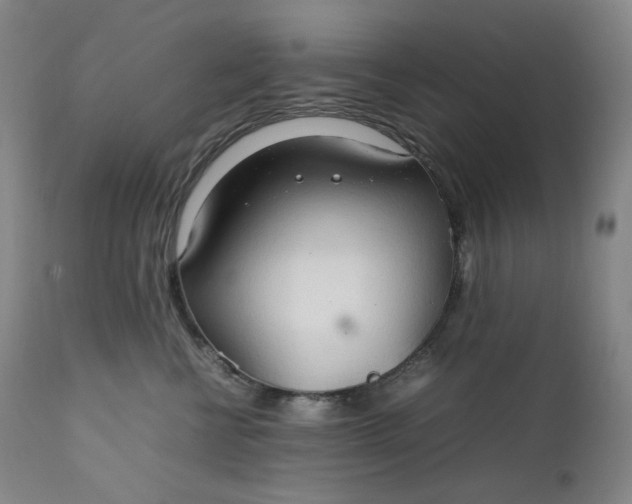 X0000111210570200907151440