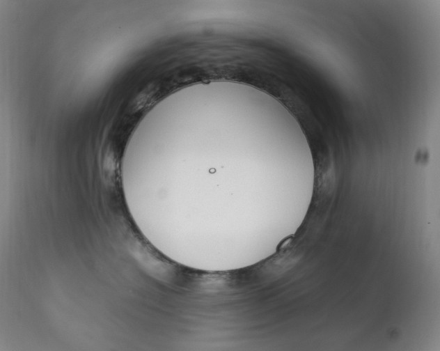 X0000111210574200907151440