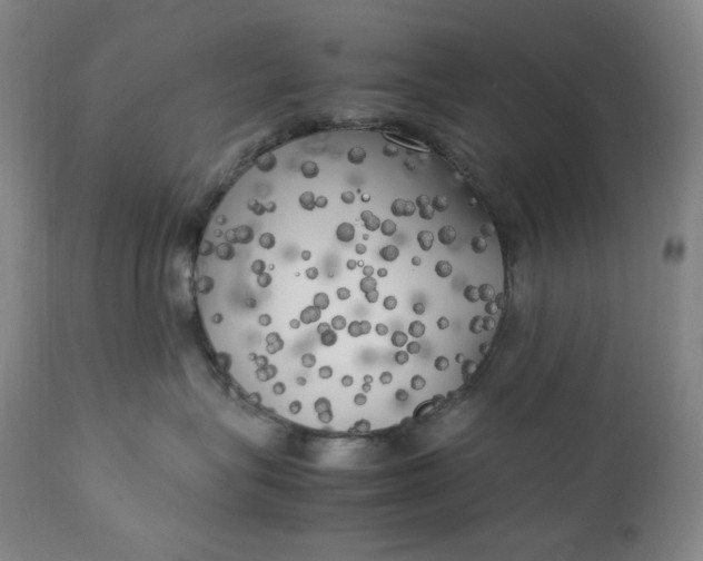 X0000111210575200907151440