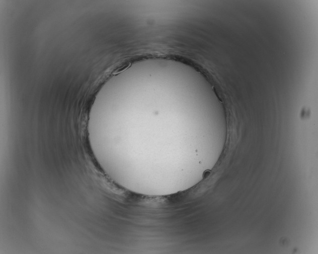 X0000111210576200907151440