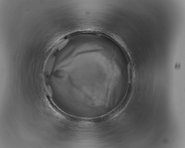 X0000111210577200907151439