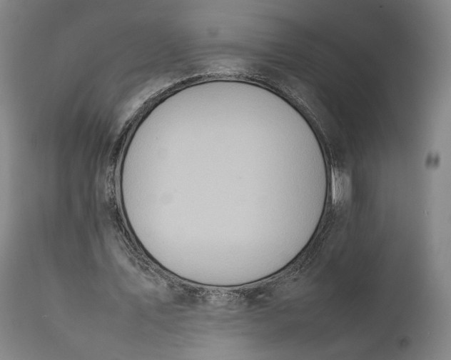 X0000111210579200907151439