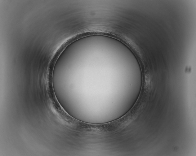 X0000111210580200907151439