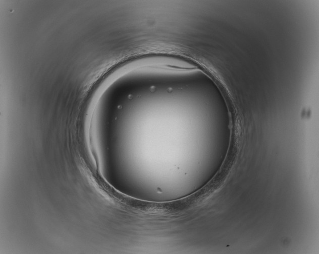 X0000111210581200907151439