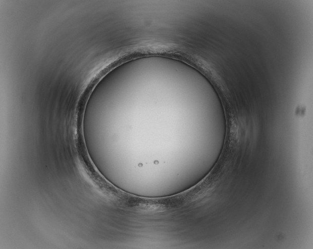 X0000111210582200907151439