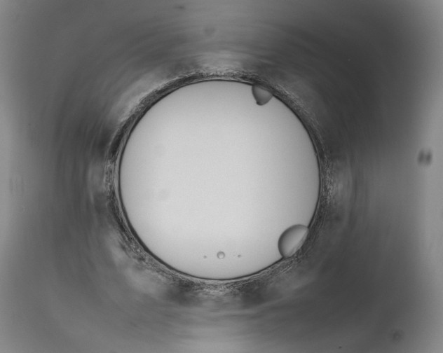 X0000111210583200907151439