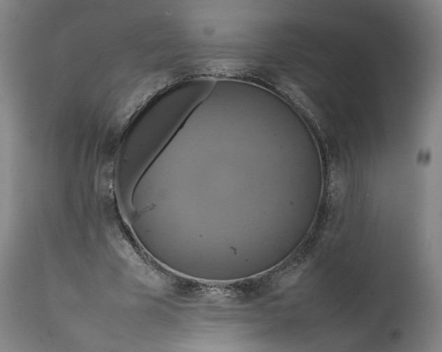 X0000111210585200907151439