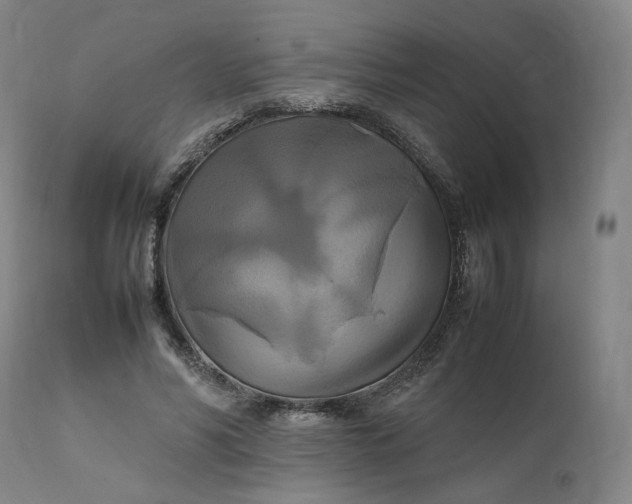 X0000111210590200907151439