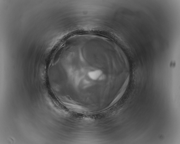 X0000111210592200907151439