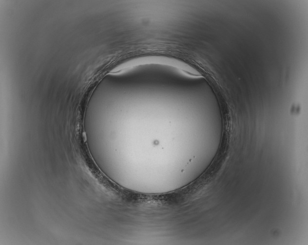 X0000111210593200907151439