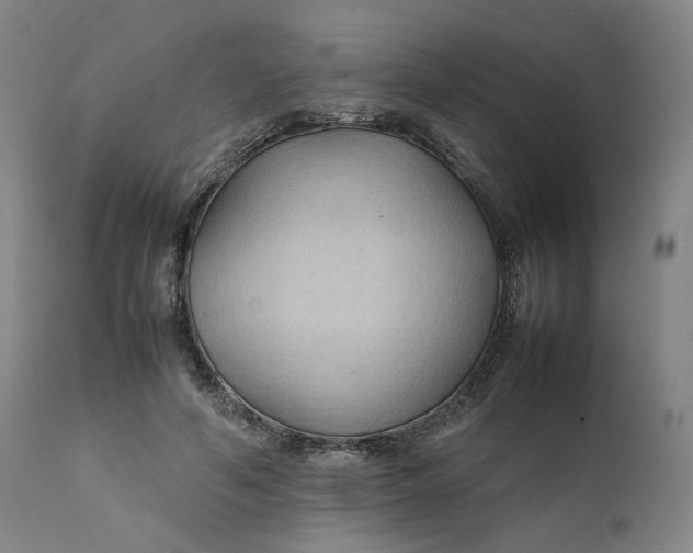 X0000111210594200907151439