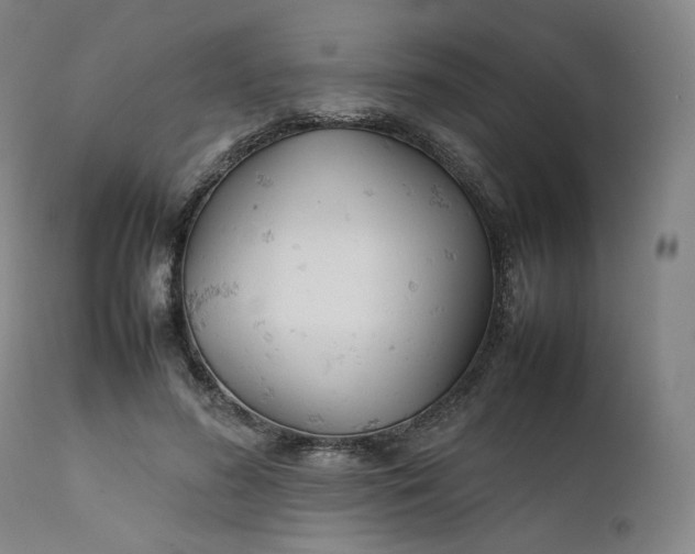 X0000111210596200907151439