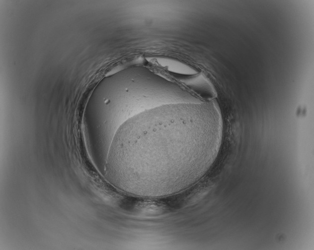 X0000111210597200907151439