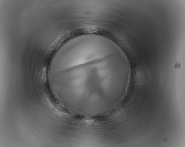 X0000111210598200907151439