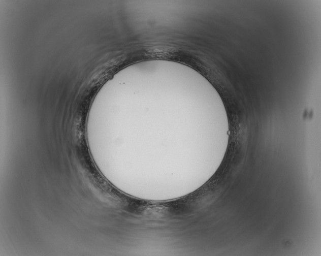 X0000111210599200907151439