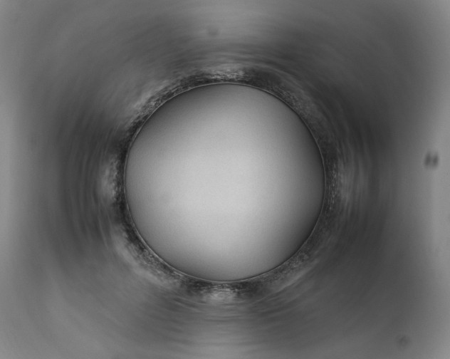 X0000111210600200907151439