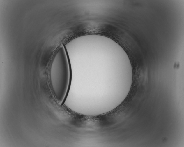 X0000111210601200907151439