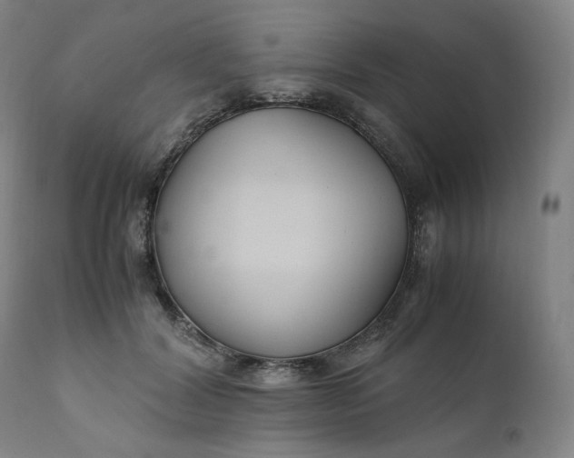 X0000111210604200907151439