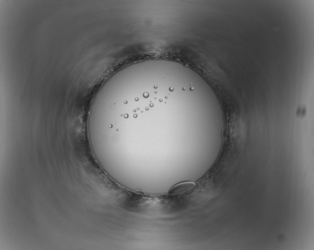 X0000111210611200907151439