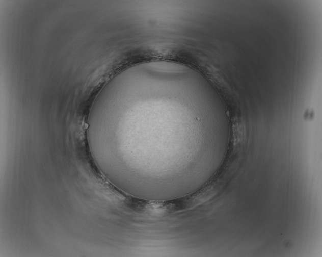 X0000111210613200907151439