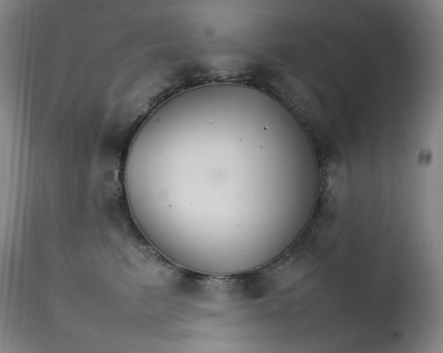 X0000111210615200907151439