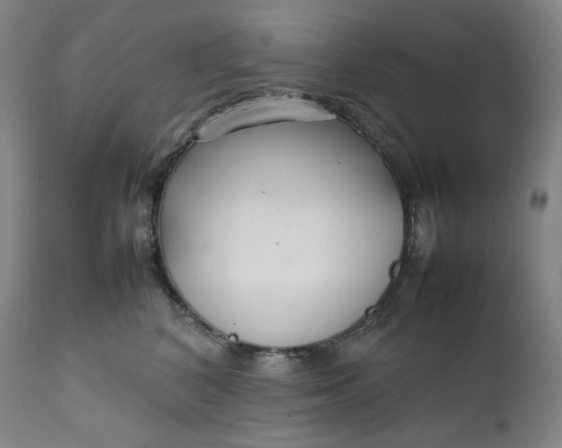 X0000111210616200907151439