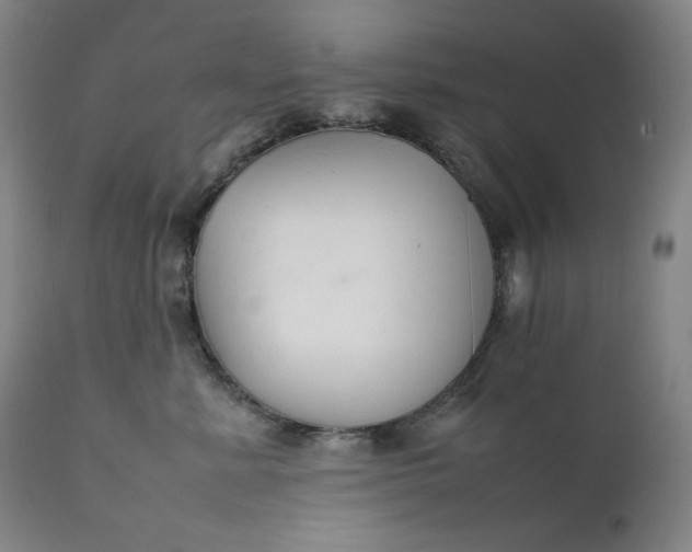 X0000111210619200907151439