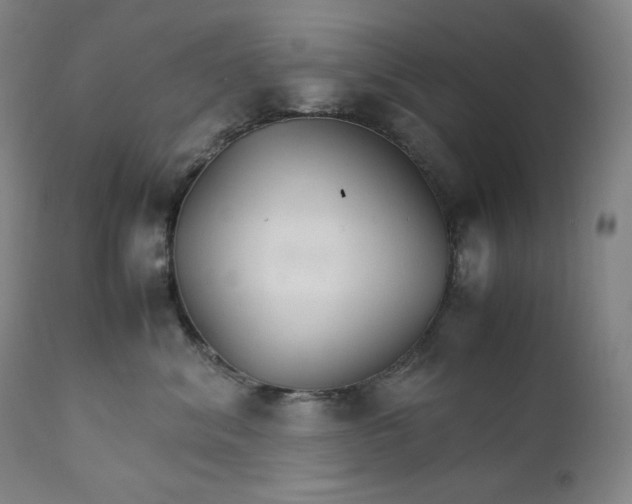 X0000111210620200907151439