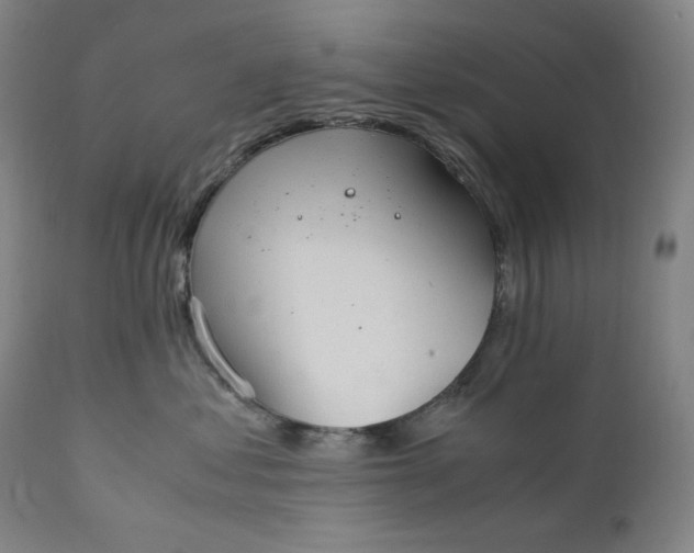 X0000111210621200907151439